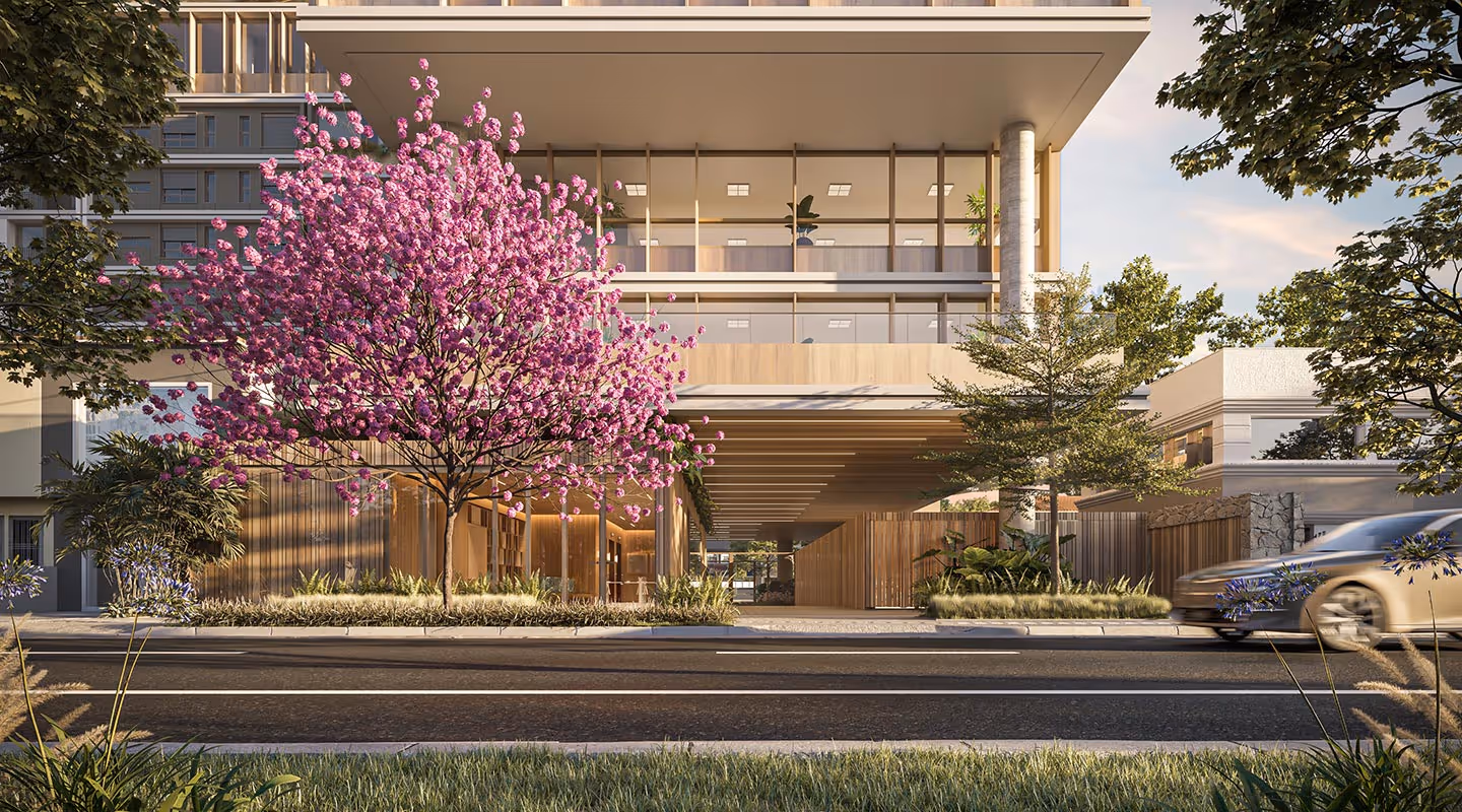 Albero — imagem 3