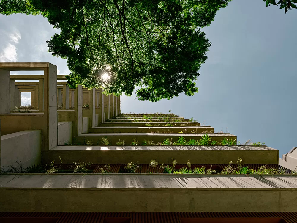 Casa Pereira Coutinho — imagem 5