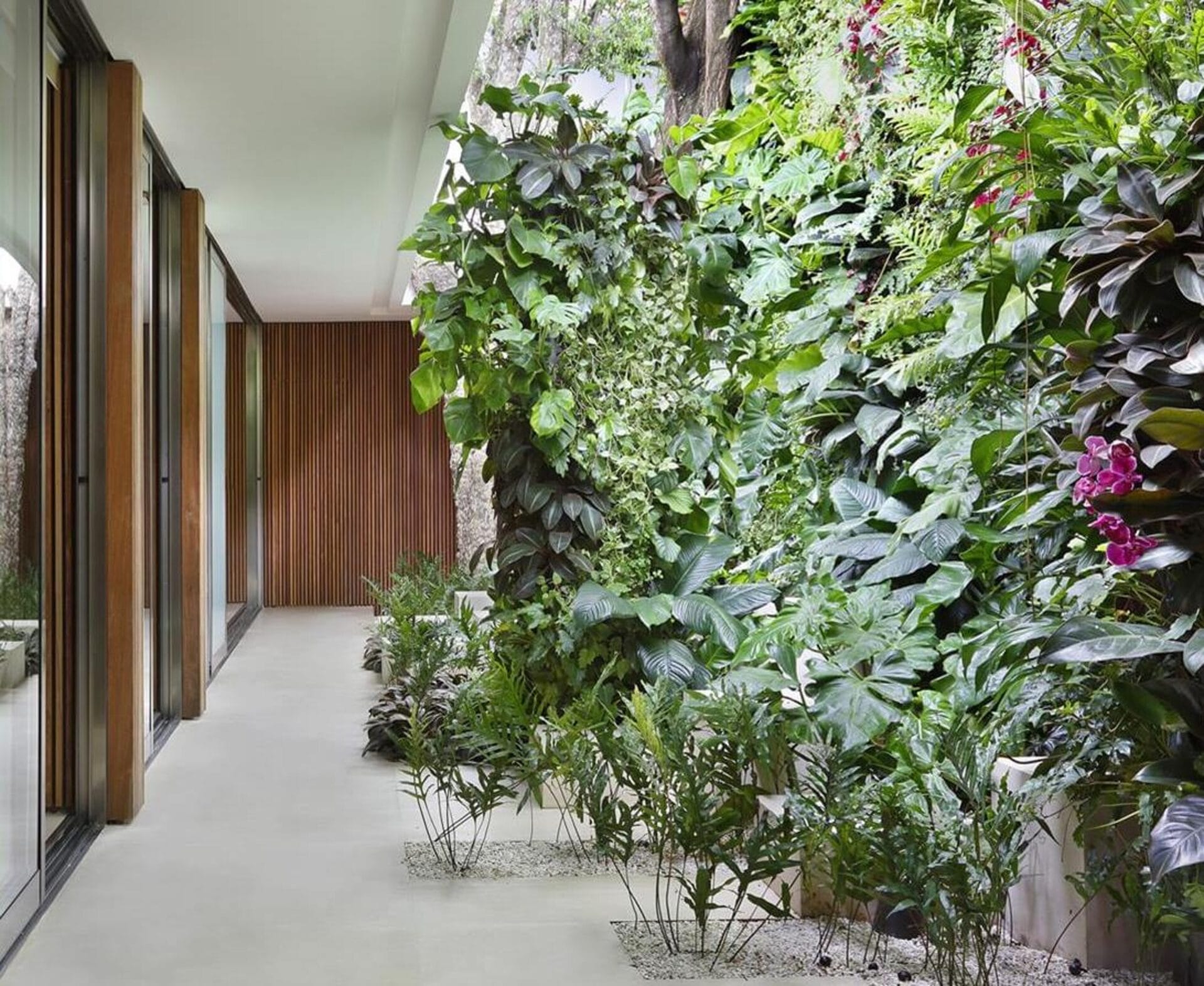 Arbórea Ibirapuera — imagem 3