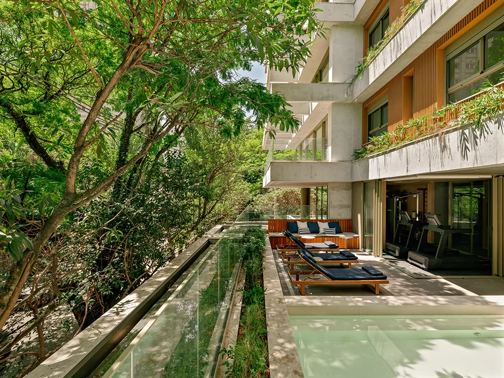 Casa Pereira Coutinho — imagem 11