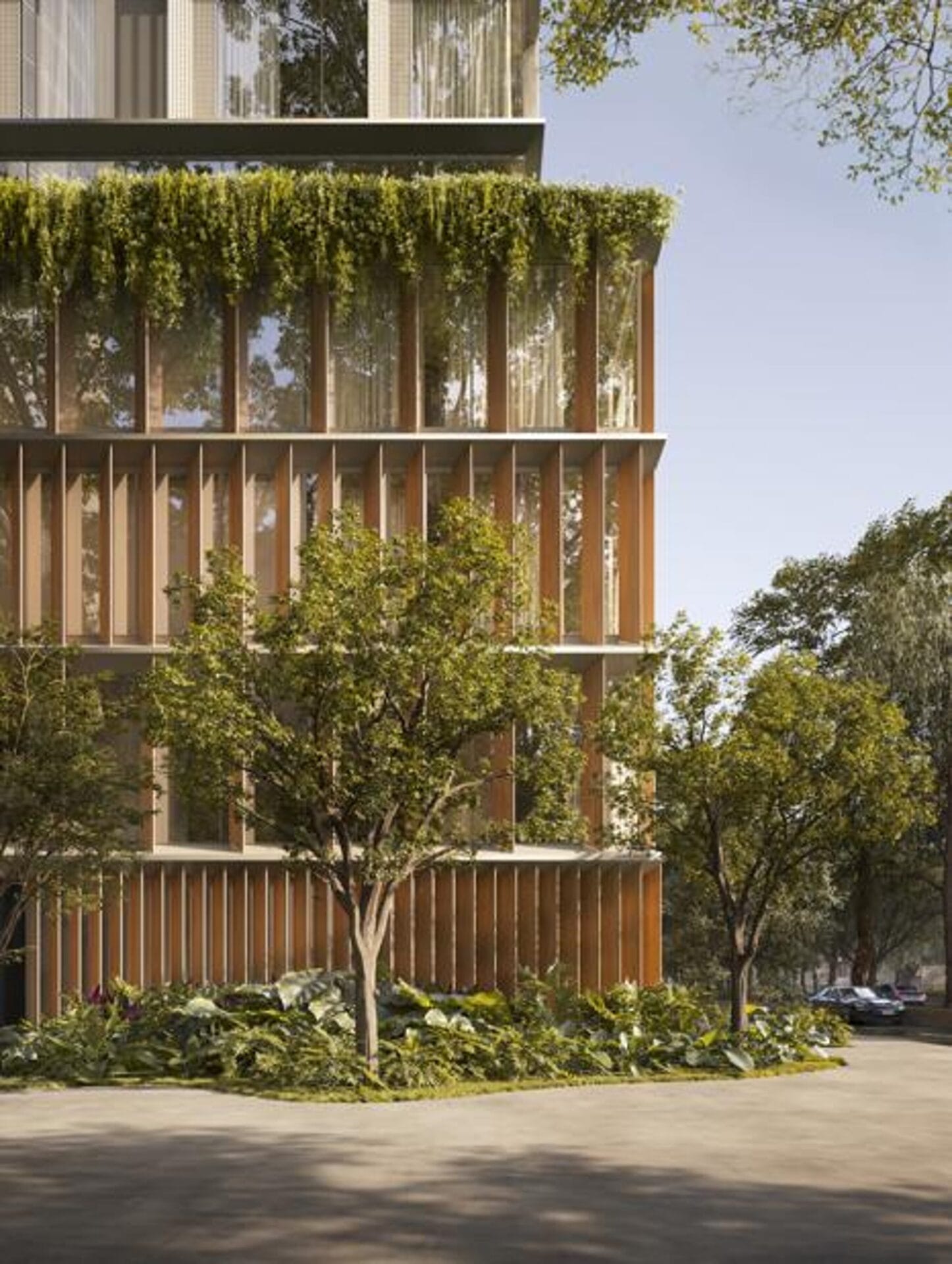 Arbórea Ibirapuera — imagem 4